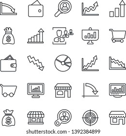 Thin Line Icon Set - shop vector, growth statistic, money bag, crisis graph, store, monitor statistics, pie, hr, target, consumer search, wallet, cart, presentation, storefront