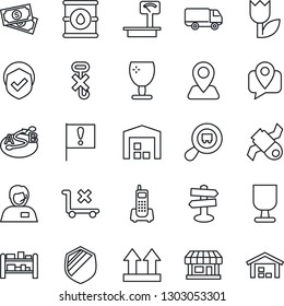 Thin Line Icon Set - signpost vector, navigation, important flag, store, satellite, cash, office phone, support, mobile tracking, car delivery, fragile, up side sign, no trolley, hook, tulip, shield