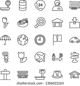Thin Line Icon Set - signpost vector, earth, railroad, important flag, plane, 24 hours, support, truck trailer, car delivery, clock, umbrella, no hook, tulip, warehouse, package, heavy, oil barrel