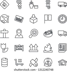 Thin Line Icon Set - signpost vector, pin, important flag, plane, satellite, client, car delivery, clock, receipt, sea port, up side sign, no trolley, hook, tulip, package, flammable, oil barrel