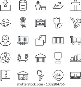 Thin Line Icon Set - signpost vector, pin, important flag, plane, 24 hours, client, sea shipping, truck trailer, cargo container, port, folder document, fragile, no trolley, hook, tulip, warehouse
