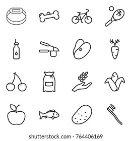 Thin line icon set : smart bracelet, bone, bike, tennis, vegetable oil, garlic clasp, beans, carrot, cherry, flour, harvest, corn, apple, fish, potato, tooth brush