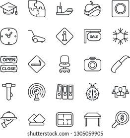 Thin Line Icon Set - smoking place vector, office chair, graduate, tie, lawn mower, lady bug, garden knife, diet, sea shipping, camera, antenna, clock, record, application, hr, paper binder, plan