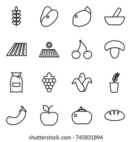 thin line icon set : spikelets, beans, lemon, mortar, field, cherry, mushroom, flour, grape, corn, seedling, eggplant, apple, tomato, bread
