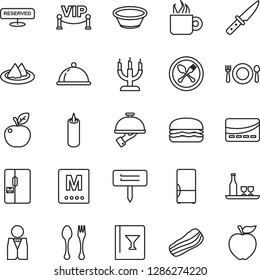 Thin Line Icon Set - spoon and fork vector, plant label, fridge, waiter, dish, alcohol, serviette, cafe, wine card, menu, reserved, coffee, bacon, candle, vip zone, credit, hamburger, bowl, knife