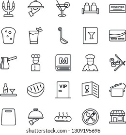 Thin Line Icon Set - spoon and fork vector, cook, alcohol, wine card, menu, reserved, cocktail, phyto bar, waiter, salt pepper, bread, candle, vip zone, credit, steak, ladle, cutting board, sushi