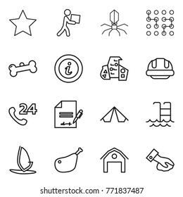 Thin line icon set : star, courier, virus, chip, bone, info, modern architecture, building helmet, phone 24, inventory, tent, pool, windsurfing, chicken leg, barn, wiping