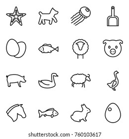 Thin line icon set : starfish, dog, jellyfish, scoop, eggs, fish, sheep, pig, goose, horse, rabbit, egg