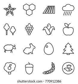 Thin line icon set : starfish, honeycombs, field, rain cloud, trees, grape, corn, apple, sheep, rabbit, egg, spruce, garden, acorn, peas, ecology