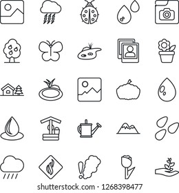 Thin Line Icon Set - storm cloud vector, flower in pot, watering can, butterfly, lady bug, water drop, rain, well, pumpkin, seeds, pond, tulip, gallery, photo, house with tree, fruit, mountains