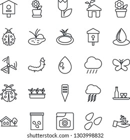 Thin Line Icon Set - storm cloud vector, flower in pot, butterfly, lady bug, seedling, water drop, rain, plant label, seeds, caterpillar, pond, bird house, tulip, photo gallery, with tree, windmill