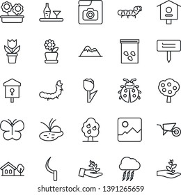 Thin Line Icon Set - storm cloud vector, flower in pot, wheelbarrow, butterfly, lady bug, sickle, plant label, seeds, caterpillar, pond, bird house, tulip, gallery, photo, with tree, fruit, alcohol