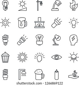 Thin Line Icon Set - sun vector, brainstorm, bulb, fire, garden light, eye, torch, brightness, desk lamp, fireplace, beer, candle, energy saving, outdoor, alarm led, shining head, idea, palm sproute