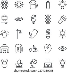 Thin Line Icon Set - sun vector, brainstorm, fire, garden light, eye, traffic, torch, brightness, desk lamp, fireplace, beer, candle, smoke detector, bulb, energy saving, alarm led, palm sproute