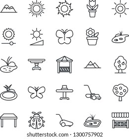 Thin Line Icon Set - sun vector, flower in pot, lawn mower, butterfly, lady bug, pond, brightness, fruit tree, mountains, table, restaurant, alcove