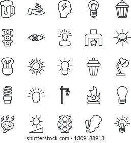 Thin Line Icon Set - sun vector, brainstorm, bulb, fire, garden light, eye, traffic, brightness, desk lamp, fireplace, beer, smoke detector, energy saving, outdoor, alarm led, palm sproute, idea