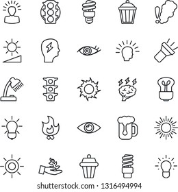 Thin Line Icon Set - sun vector, brainstorm, fire, garden light, eye, traffic, torch, brightness, desk lamp, beer, smoke detector, bulb, energy saving, outdoor, palm sproute, shining head, idea