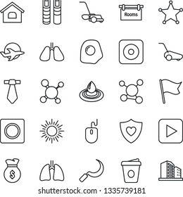 Thin Line Icon Set - sun vector, mouse, coffee, lawn mower, sickle, molecule, heart shield, lungs, plane, play button, rec, record, book, house, rooms, omelette, water, police, money bag, flag, tie