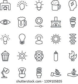 Thin Line Icon Set - sun vector, brainstorm, bulb, fire, garden light, eye, traffic, brightness, desk lamp, fireplace, beer, candle, energy saving, palm sproute, shining head, idea