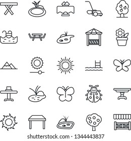 Thin Line Icon Set - sun vector, flower in pot, lawn mower, butterfly, lady bug, pond, picnic table, brightness, pool, fruit tree, mountains, restaurant, alcove