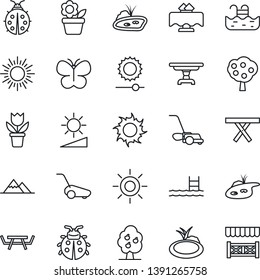 Thin Line Icon Set - sun vector, flower in pot, lawn mower, butterfly, lady bug, pond, picnic table, brightness, pool, fruit tree, mountains, restaurant, alcove