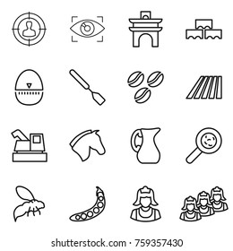 Thin line icon set : target audience, eye identity, arch, block wall, egg timer, spatula, coffee seeds, field, harvester, horse, jug, viruses, wasp, peas, cleaner, outsource