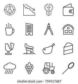 Thin line icon set : target audience, crisis, bulb brain, wallet, hot drink, skyscraper, drawing compasses, house, broken, aquapark, chicken leg, cake, rain cloud, grape, tractor, duster