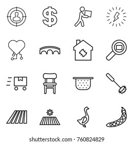 Thin line icon set : target audience, dollar, courier, lightning, cardio chip, bridge, smart house, cargo search, fast deliver, chair, colander, whisk, field, goose, peas