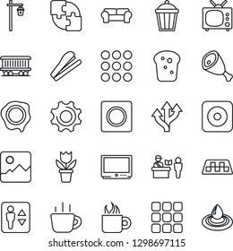 Thin Line Icon Set - taxi vector, passport control, elevator, coffee, stamp, flower in pot, garden light, route, railroad, tv, rec button, menu, gallery, settings, record, application, stapler, ham