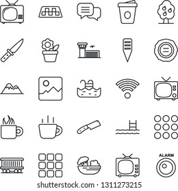 Thin Line Icon Set - taxi vector, tv, airport building, coffee, stamp, flower in pot, plant label, railroad, dialog, menu, gallery, pool, fruit tree, mountains, wireless, salad, knife, alarm led
