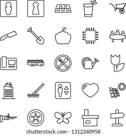 Thin Line Icon Set - taxi vector, airport bus, elevator, male, female, boarding, meeting, job, rake, watering can, wheelbarrow, butterfly, pumpkin, fireplace, tulip, heart, sun panel, city house
