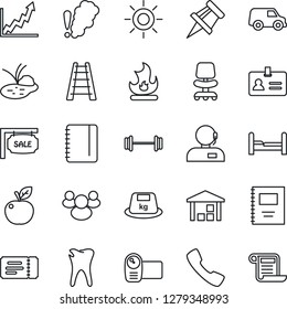Thin Line Icon Set - ticket vector, identity, office chair, notepad, ladder, fire, sun, pond, barbell, caries, warehouse, heavy, video camera, group, call, copybook, drawing pin, support, sale, car