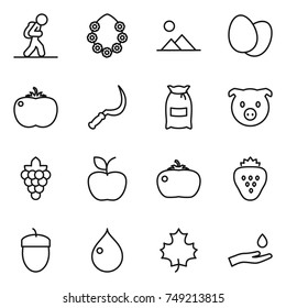 thin line icon set : tourist, hawaiian wreath, landscape, eggs, tomato, sickle, flour, pig, grape, apple, strawberry, acorn, drop, maple leaf, hand and