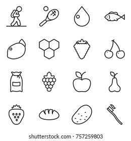 Thin line icon set : tourist, tennis, drop, fish, lemon, honeycombs, berry, cherry, flour, grape, apple, pear, strawberry, bread, potato, tooth brush