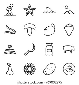 Thin line icon set : tourist, starfish, shark flipper, landscape, walnut crack, mushroom, lemon, berry, field, sickle, flour, pig, pear, flower, potato, ecology