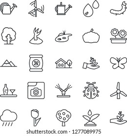 Thin Line Icon Set - tree vector, watering can, sproute, butterfly, lady bug, rain, pumpkin, caterpillar, fertilizer, tulip, photo gallery, house with, pond, windmill, fruit, mountains, alcohol