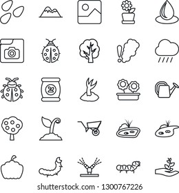 Thin Line Icon Set - tree vector, watering can, wheelbarrow, sproute, lady bug, water drop, rain, pumpkin, seeds, caterpillar, fertilizer, gallery, photo, pond, fruit, mountains, flower in pot, palm