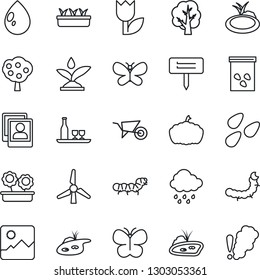 Thin Line Icon Set - tree vector, wheelbarrow, butterfly, seedling, water drop, rain, plant label, pumpkin, seeds, caterpillar, pond, tulip, gallery, photo, windmill, fruit, flower in pot, alcohol