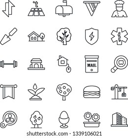 Thin Line Icon Set - trowel vector, tree, ambulance star, barbell, search cargo, protect, data exchange, house with, mailbox, fruit, flower in pot, crane, cook, egg stand, cafe building, hamburger