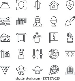 Thin Line Icon Set - trowel vector, garden sprayer, important flag, cargo container, vinyl, protect, tuning, data exchange, face id, smart home, flower in pot, crane, cook, egg stand, dress code