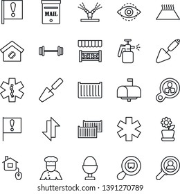 Thin Line Icon Set - trowel vector, garden sprayer, ambulance star, barbell, important flag, cargo container, search, data exchange, eye id, mailbox, smart home, flower in pot, cook, egg stand