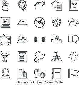 Thin Line Icon Set - tv vector, clouds, plane globe, office building, document, seeds, blood pressure, barbell, pin, group, finger down, favorites list, copybook, pie graph, company, pool, mountains