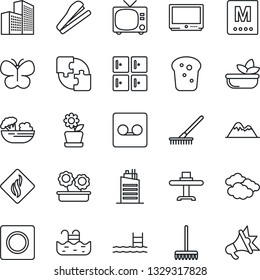 Thin Line Icon Set - tv vector, clouds, checkroom, rake, butterfly, record, application, office building, stapler, pool, mountains, flower in pot, city house, restaurant table, menu, salad, bread