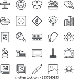Thin Line Icon Set - tv vector, airport building, document reload, stamp, rake, butterfly, heart diagnostic, railroad, rec button, gallery, settings, photo, office, fruit tree, flower in pot, menu