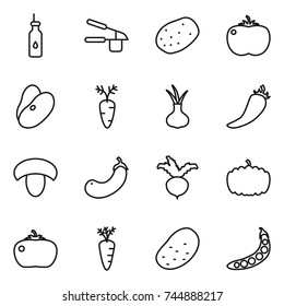 thin line icon set : vegetable oil, garlic clasp, potato, tomato, beans, carrot, onion, hot pepper, mushroom, eggplant, beet, pumpkin, peas