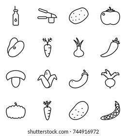 thin line icon set : vegetable oil, garlic clasp, potato, tomato, beans, carrot, onion, hot pepper, mushroom, corn, eggplant, beet, pumpkin, peas