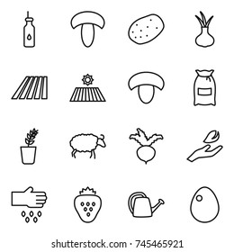 thin line icon set : vegetable oil, mushroom, potato, onion, field, flour, seedling, sheep, beet, hand leaf, sow, strawberry, watering can, egg