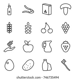 thin line icon set : vegetable oil, walnut crack, cereals, mushroom, spikelets, cherry, grape, harvest, apple, jug, strawberry, egg, potato, shampoo, tooth brush