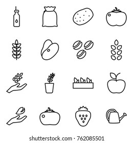 Thin line icon set : vegetable oil, flour, potato, tomato, spikelets, beans, coffee seeds, harvest, seedling, apple, hand leaf, strawberry, watering can