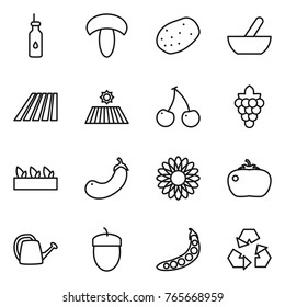 Thin line icon set : vegetable oil, mushroom, potato, mortar, field, cherry, grape, seedling, eggplant, flower, tomato, watering can, acorn, peas, recycling